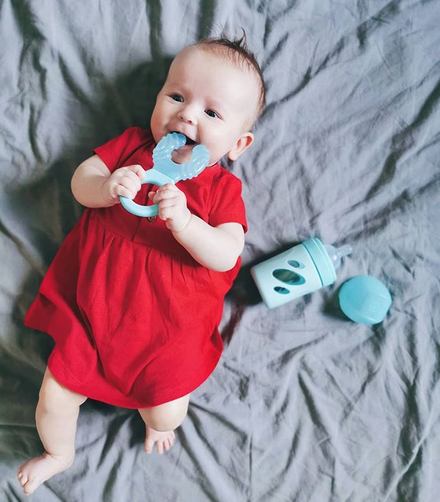 Bitring med kylning 3 mån+ / Blå - hover