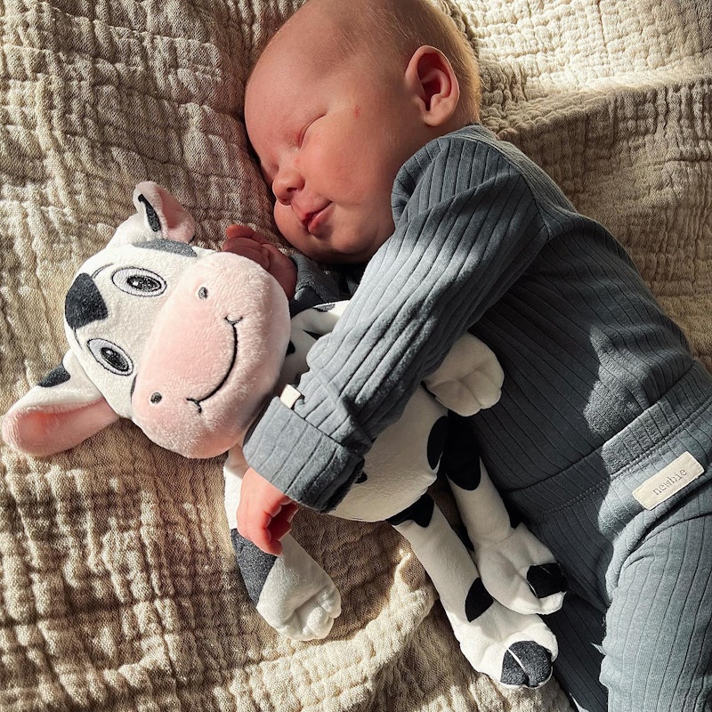 Plush Toy Cow 0 mth / Outlet - 2