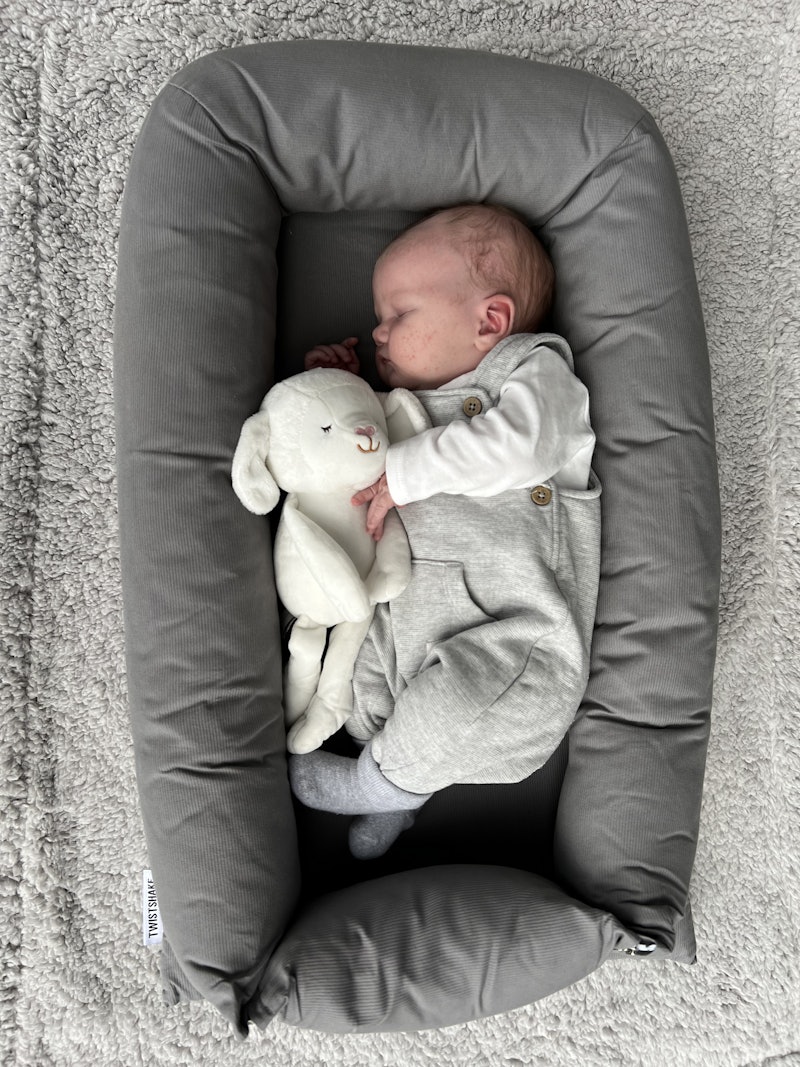 Baby Nest  Comfort for your baby - Twistshake